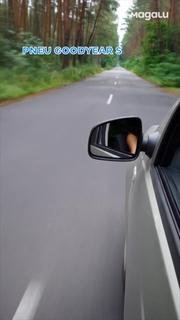  thumbnails-1