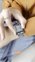  thumbnails-1
